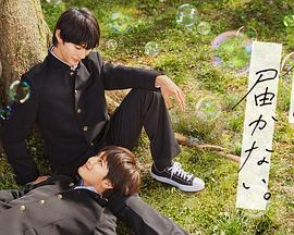 清远网站优化报价价格